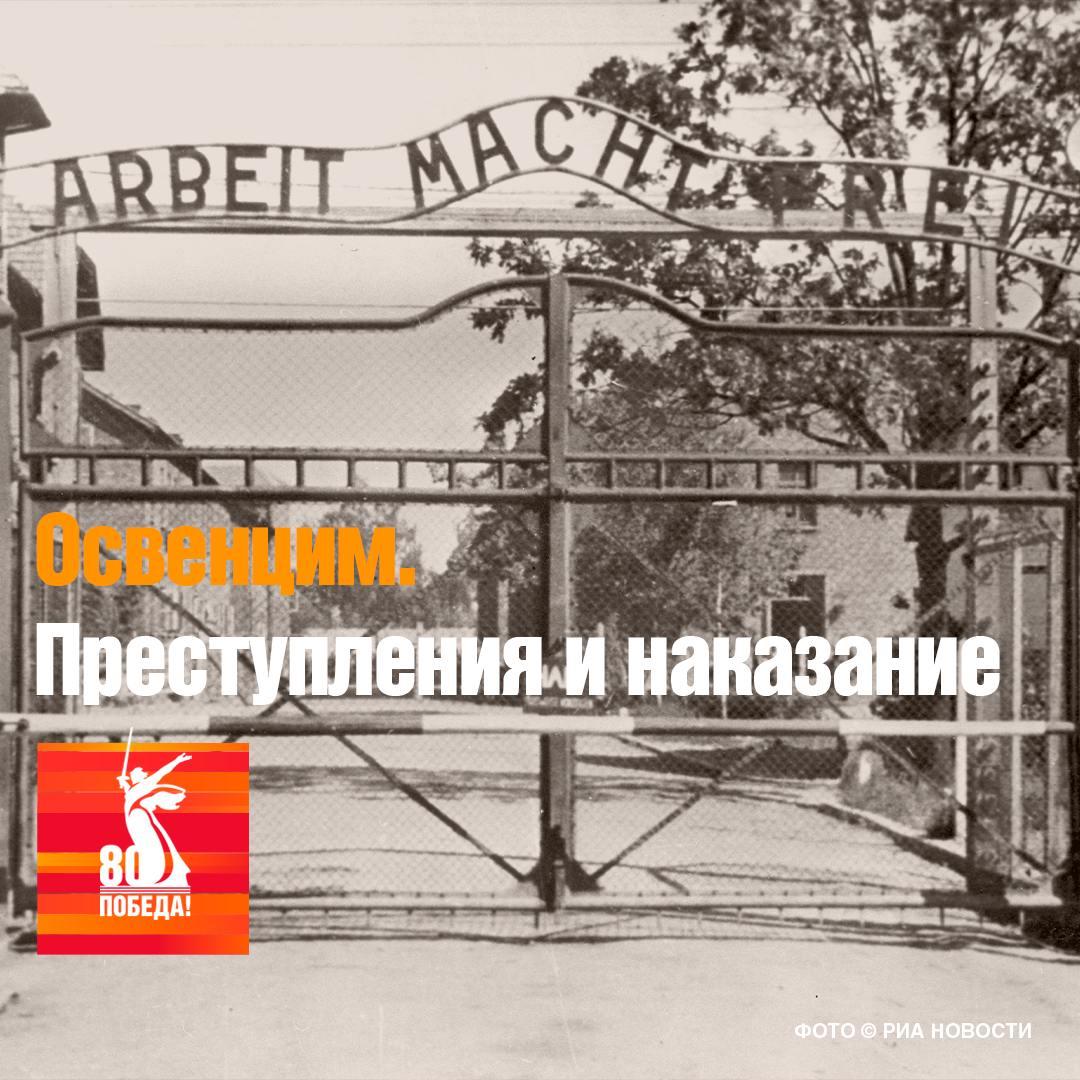 Что представлял собой лагерь Аушвиц-Биркенау в Польском городке Освенцим.