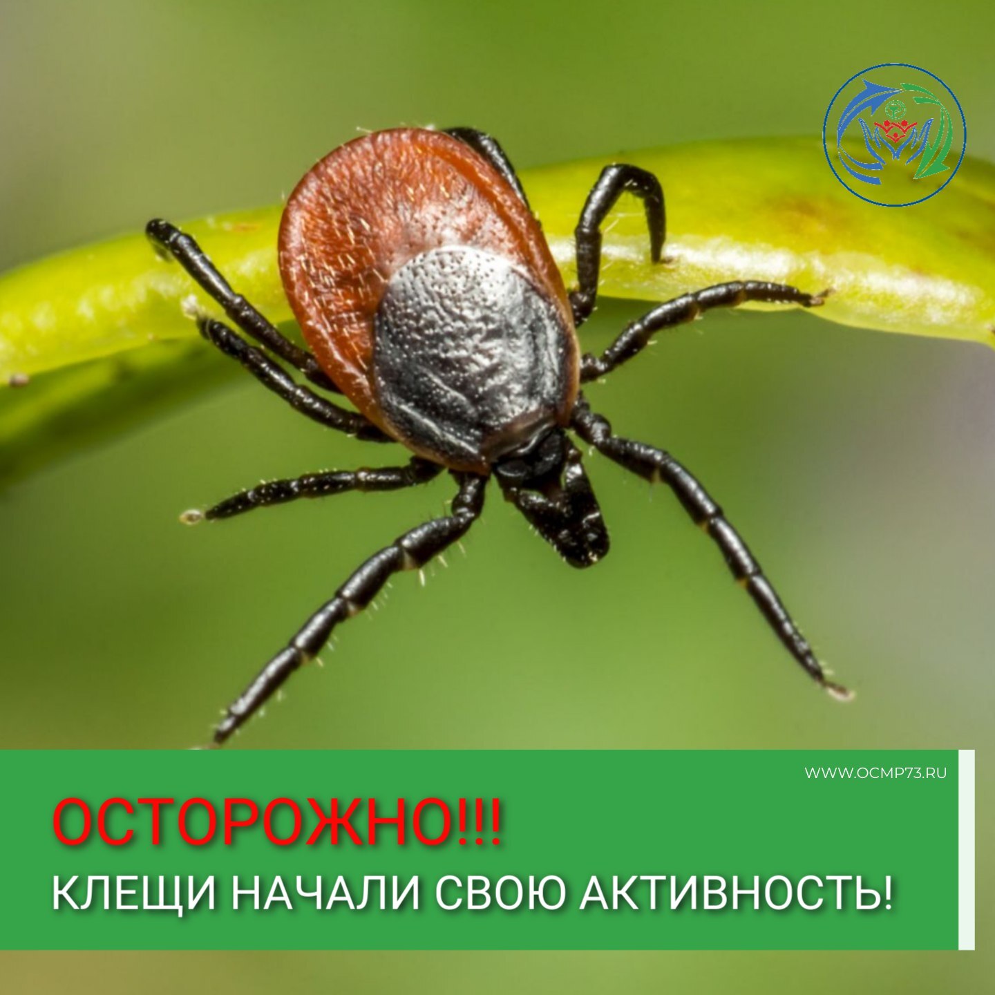 Обратите внимание на меры безопасности при укусе клещей.