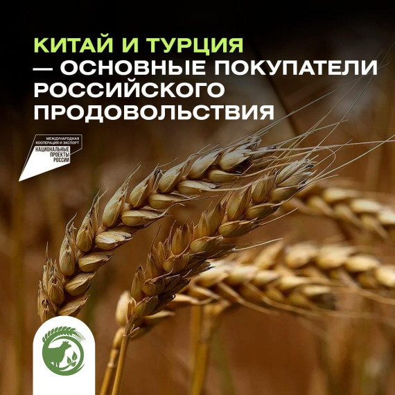 В Минсельхозе назвали основных покупателей российского продовольствия. В Минсельхозе назвали основных покупателей российского продовольствия.