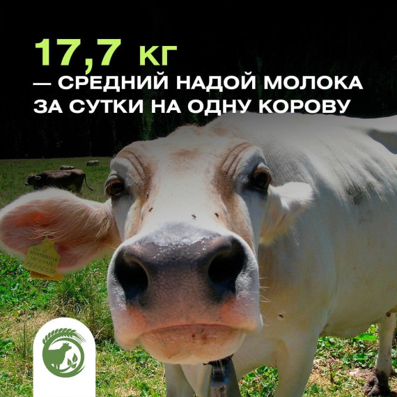 Минсельхоз информирует. Минсельхоз информирует.