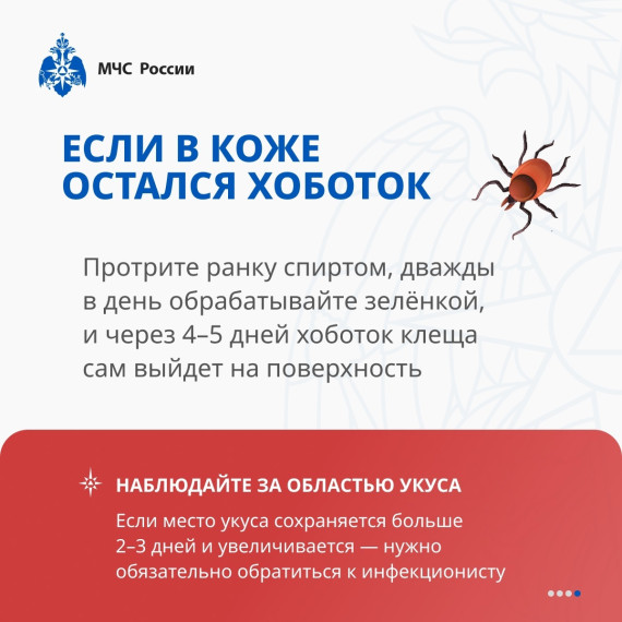 МЧС информирует. МЧС информирует.